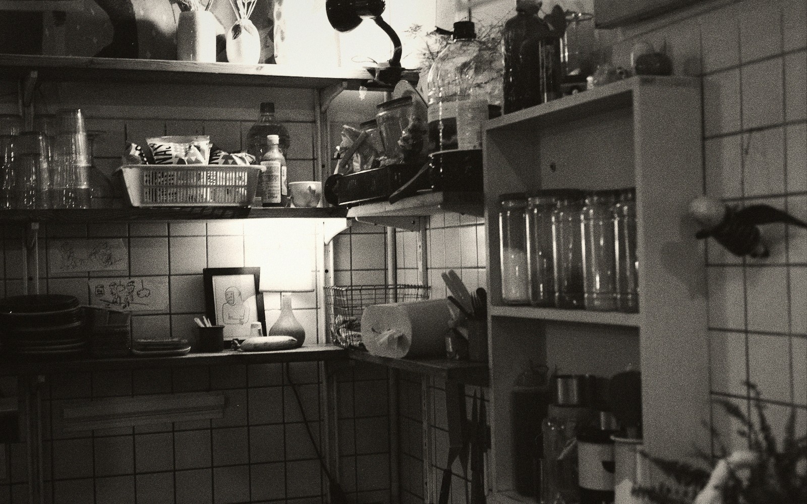 Tinned tomatoes on a shelf